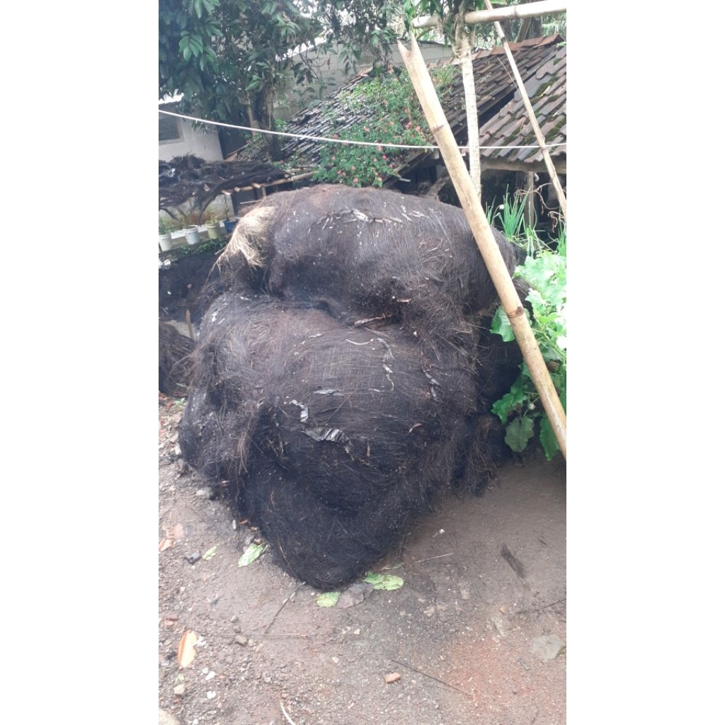 SERAT IJUK KAKABAN - PER LEMBAR