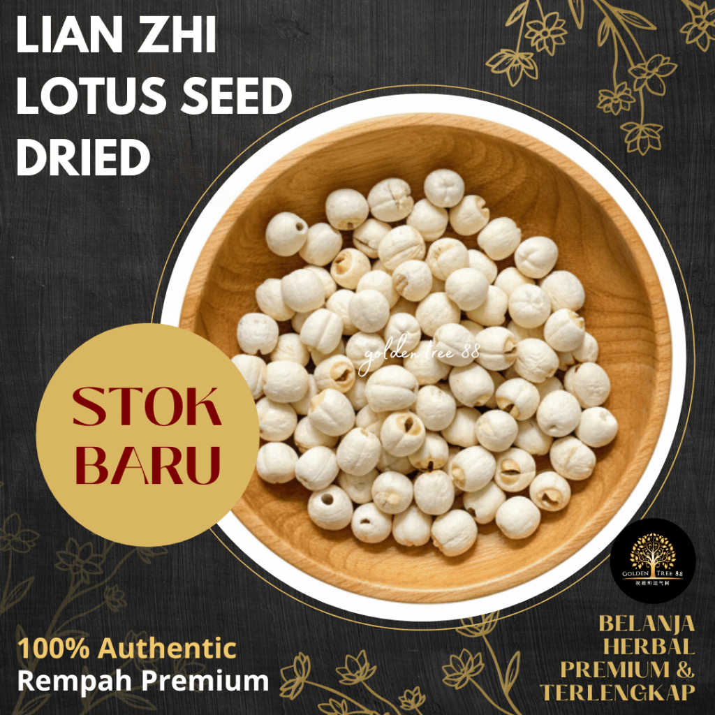 100 gram Premium Biji Teratai / Lotus Seed / Lian Zhi Fresh Original