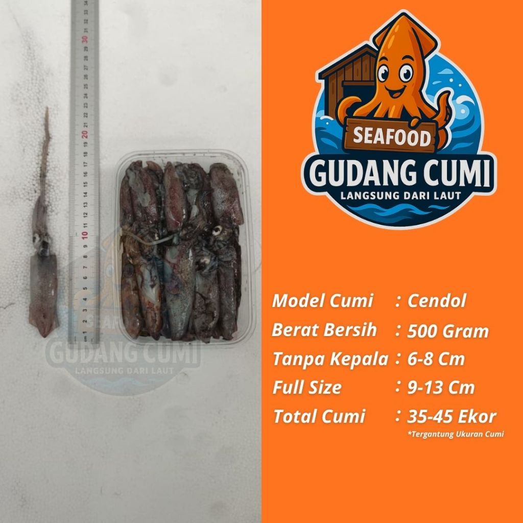 Cumi Cendol Segar 500g Cumi Tinta Cumi Segar Cumi Besar Cumi Jumbo Cumi Fresh