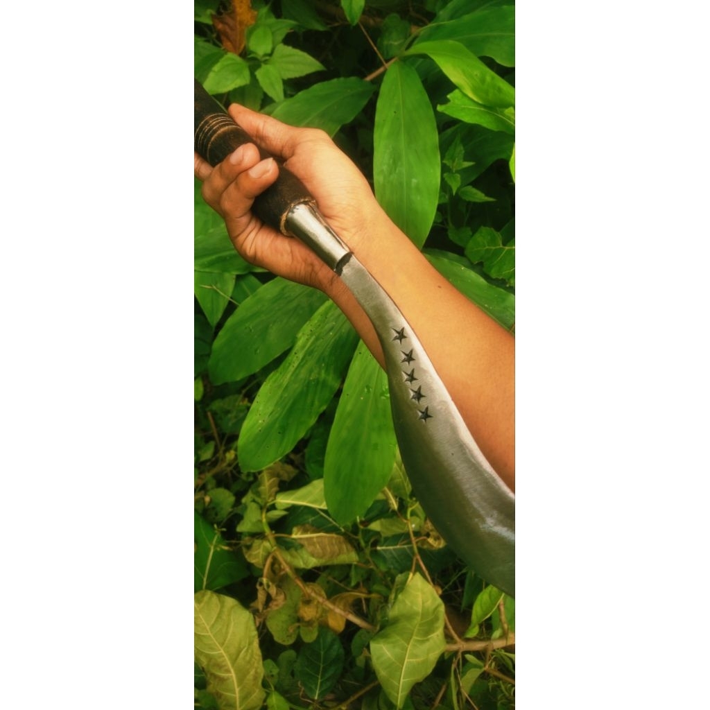 Arit/sabit rumput bintang5 khas Madura