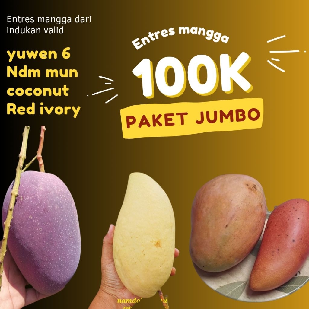 entres mangga yuwen, namdocmay mun, coconut pakistan, red ivory