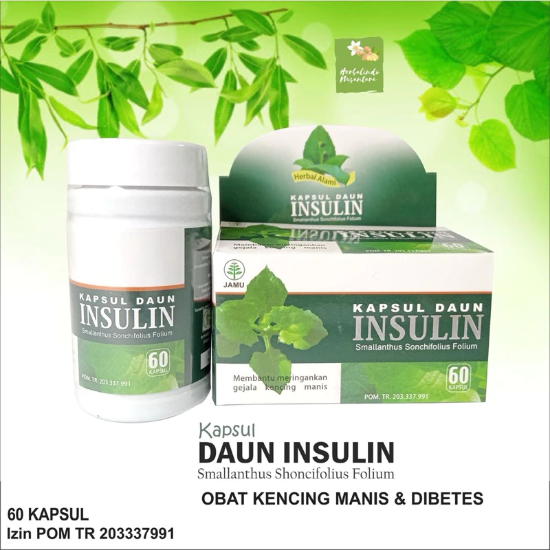 KAPSUL DAUN INSULIN ISI 60 HERBAL MURNI ORIGINAL CV.HANIF HERBAL SOLUSI DIABETES