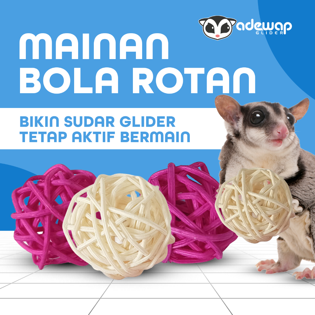 ADEWAP GLIDER Mainan Bola Rotan Aktivitas Harian Anti Bosan Sugar Glider