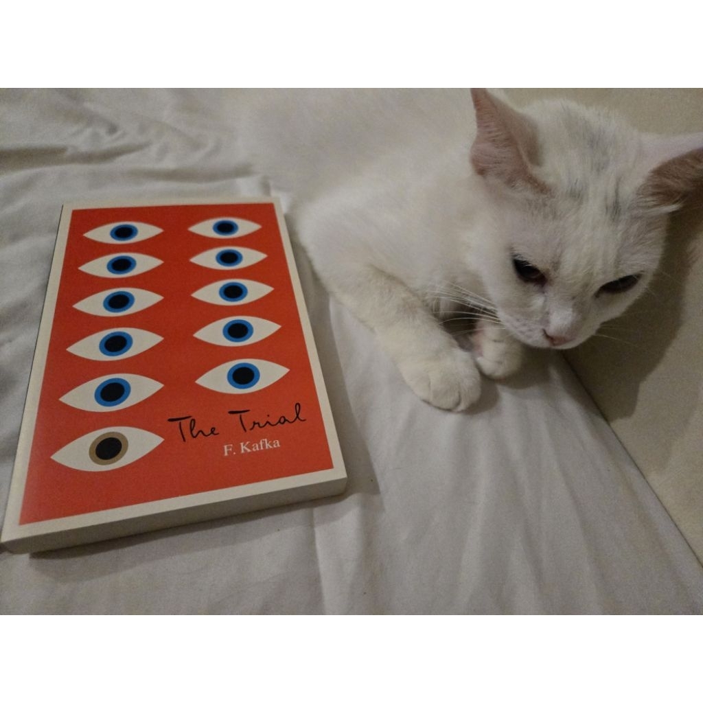 Franz Kafka The Trial Book