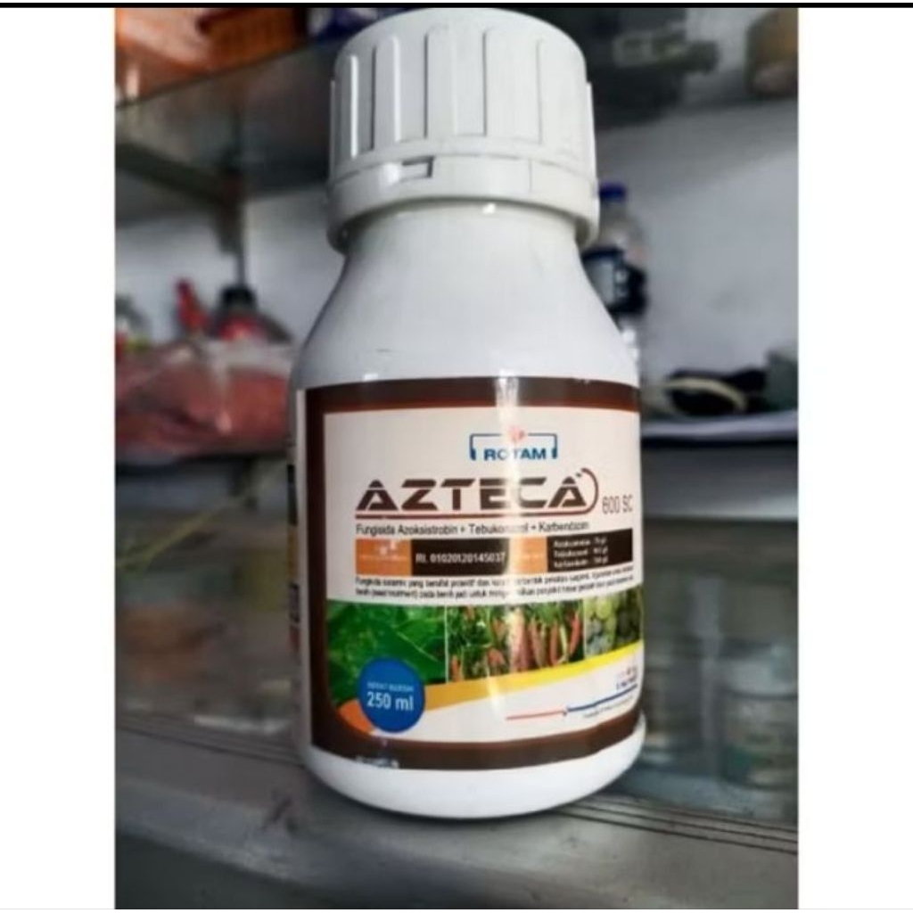 AZTECA kemasan 250