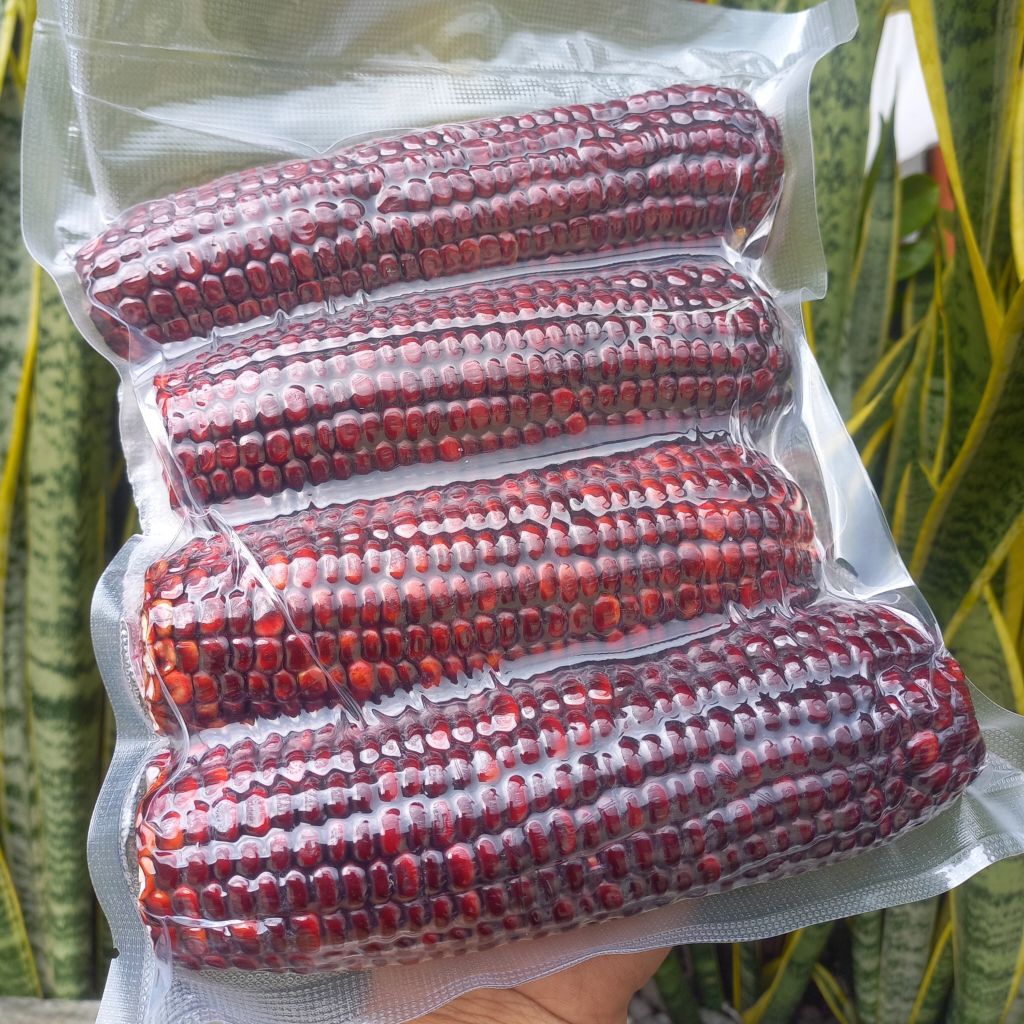 Jagung Ketan Ungu Vacum 1 KG