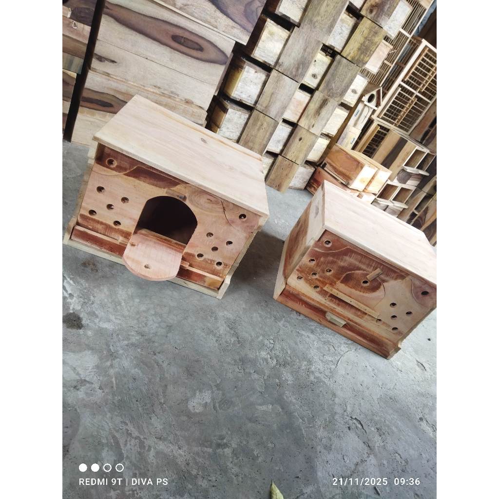 GUPON MERPATI SIZE BESAR PAGUPON MERPATI BURUNG DARA KOTAK PINTU BYAK DAN PINTU BIASA