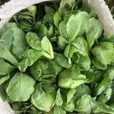 SAYUR CUCIWIS 250G