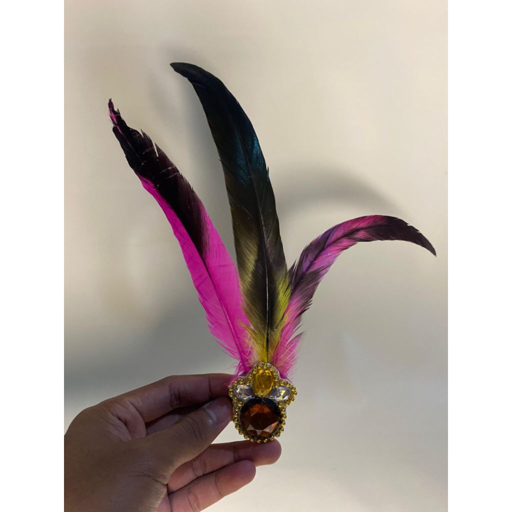 Aksesoris bulu aksesoris menari bulu ayam