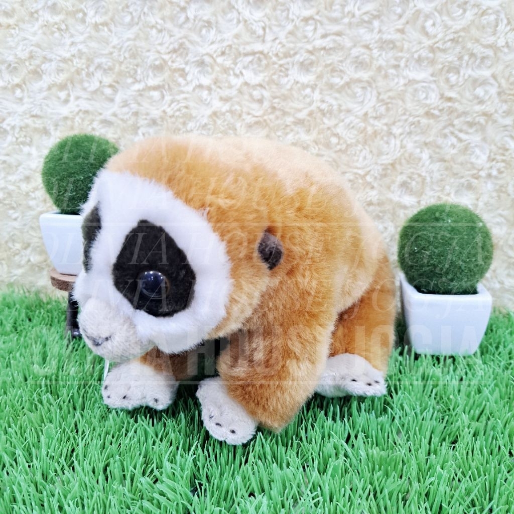 Boneka Kukang Coklat Mata Keras Boneka Lying Sloth