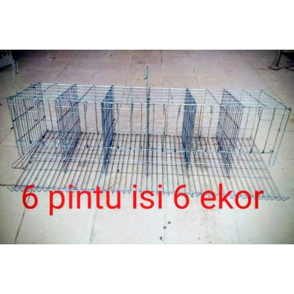 Kandang ayam petelur galvanis Pintu 6 Isi 6