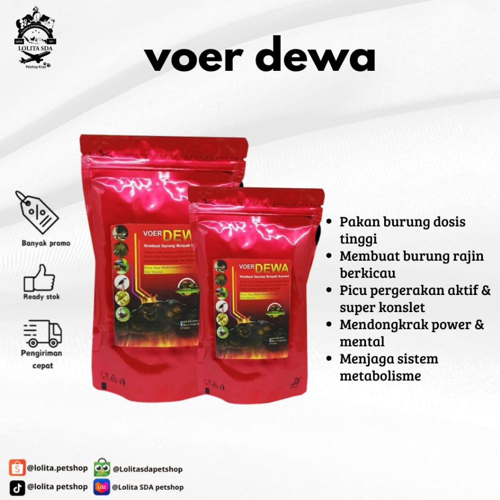 VOER DEWA Membuat Burung Menjadi Konslet