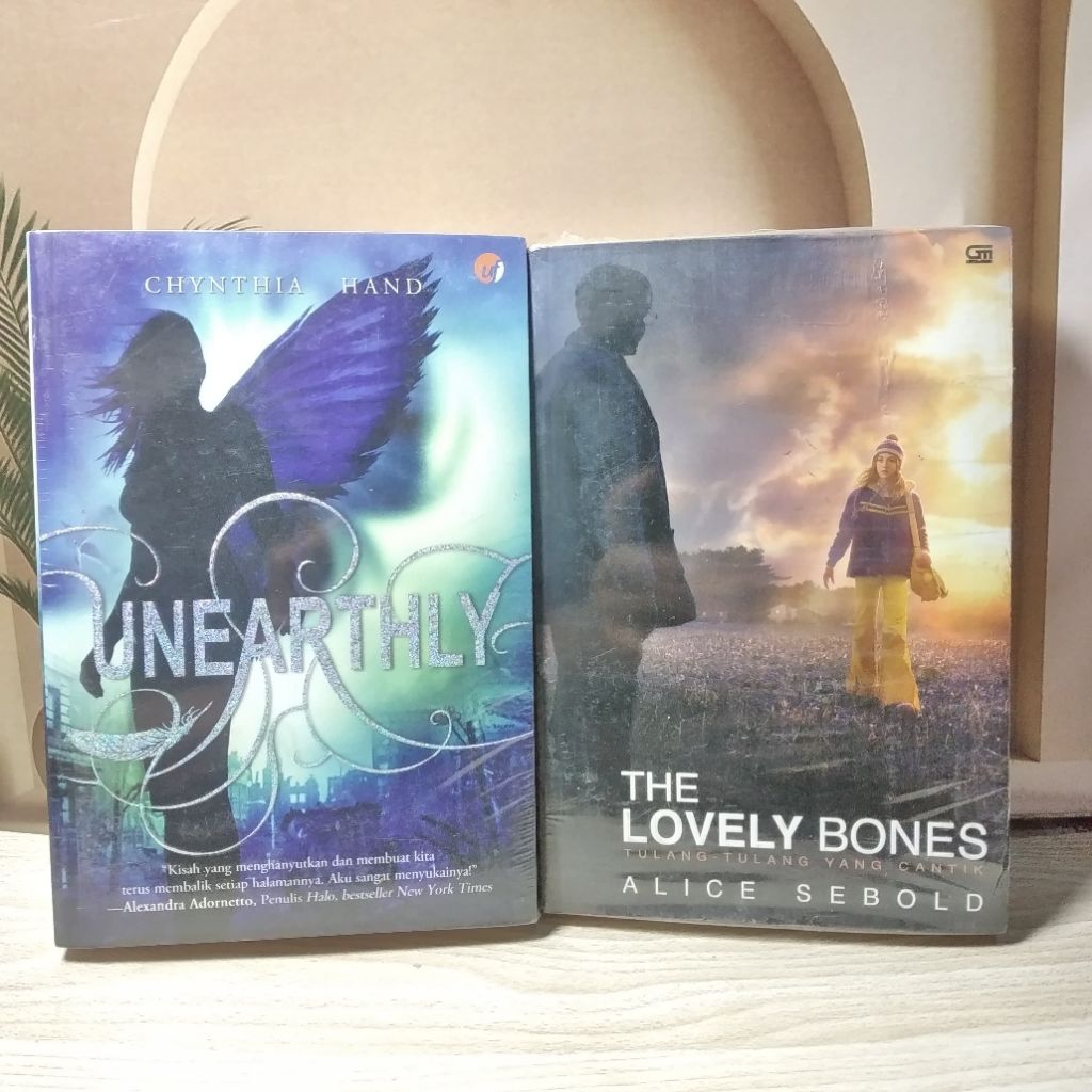 Novel unearthly the lovely bones novel fiction action