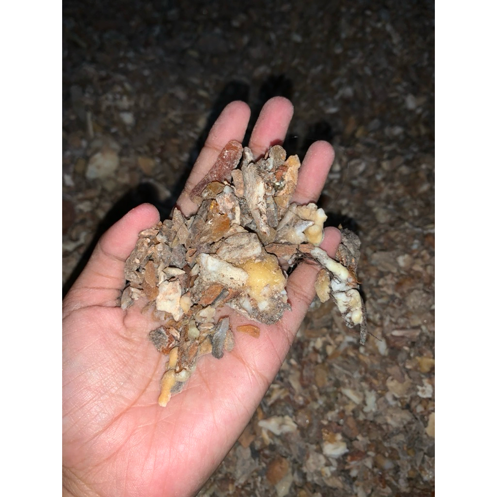 Kemenyan Tapanuli Grade D