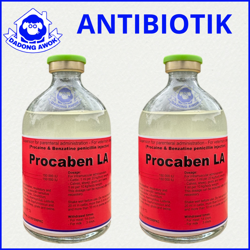 Procaben LA Pengganti Penstrep 400 Obat Antibiotik Kucing Kambing Sapi Domba Babi Anjing Ayam Injeks