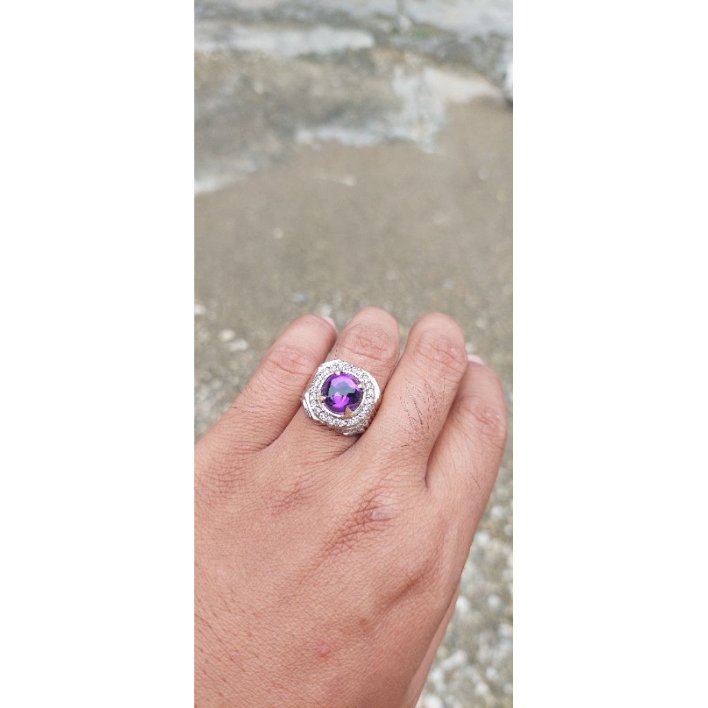 KECUBUNG UNGU BUNGUR/LAMPUNG