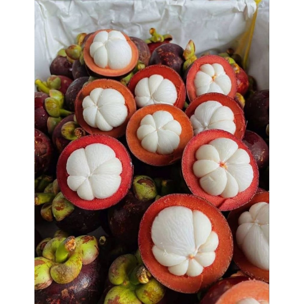 BUAH MANGGIS SEGAR FRESH 1KG SURABAYA