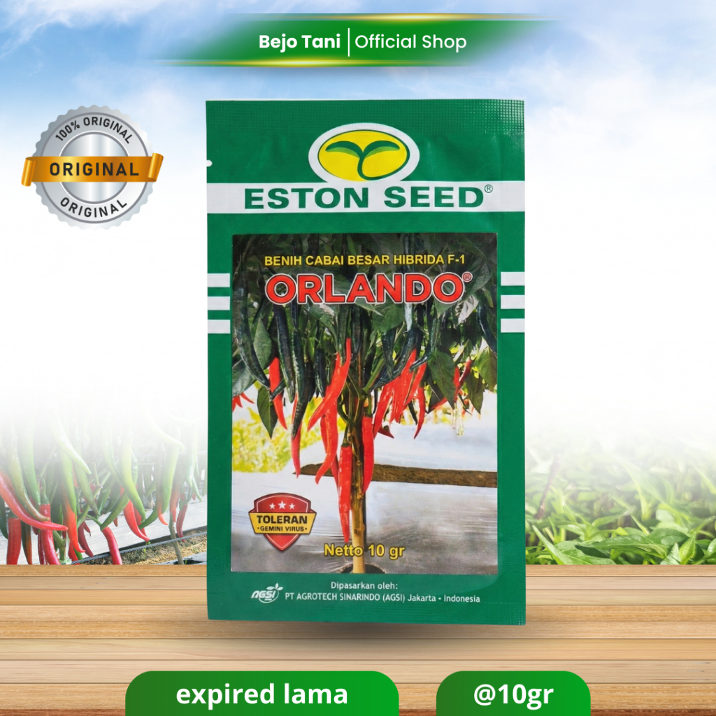 Benih Cabai Besar ORLANDO F1 10gr Original Pabrik Eston Seed Toleran Terhadap Serangan Gemini