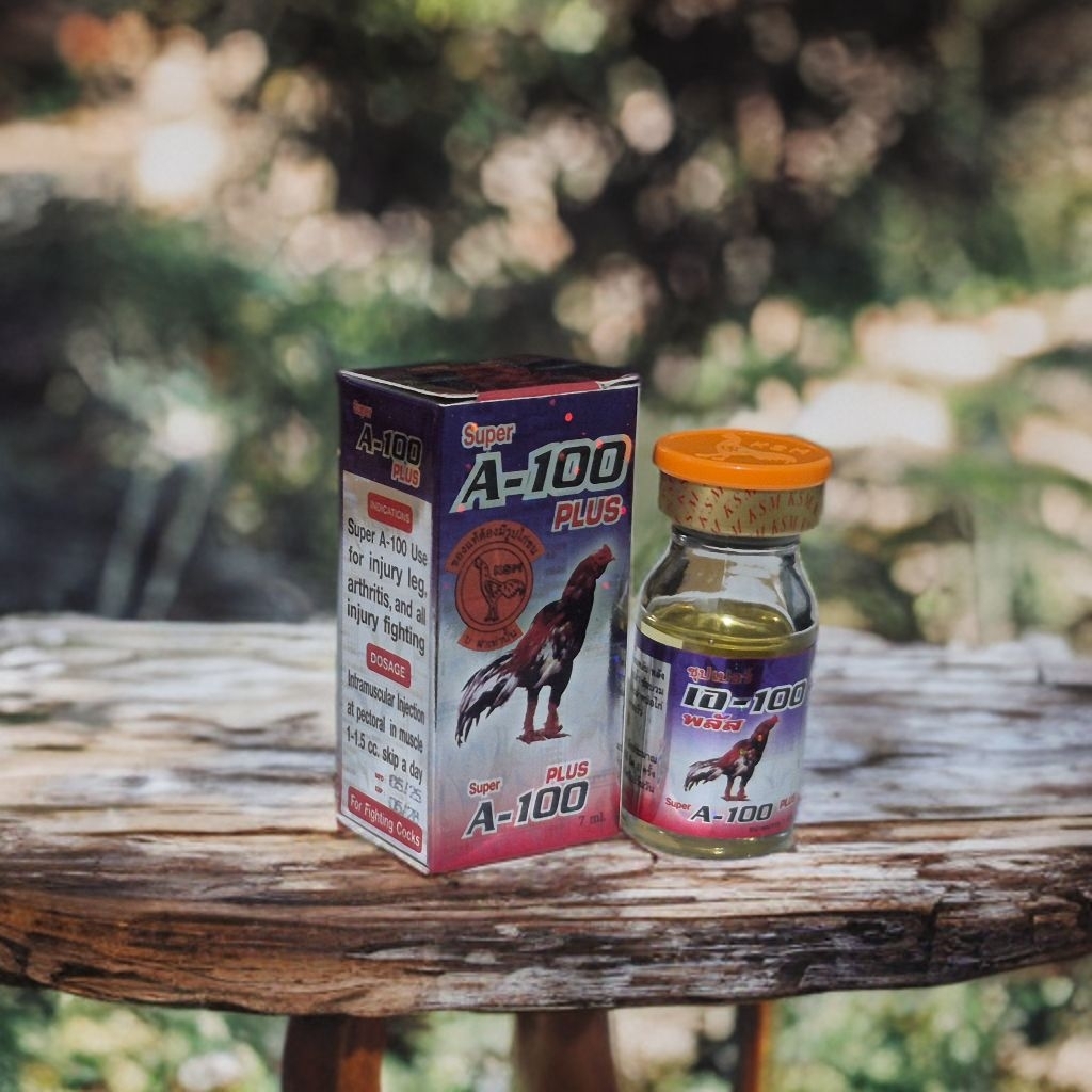 A-100 super mengobati ayam petarung