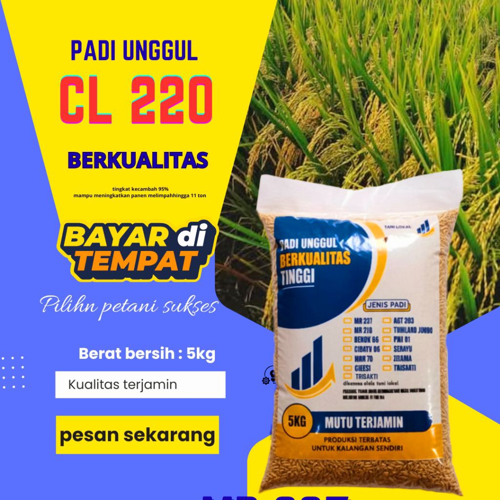 BENIH PADI CL 220 KEMASAN 5KG
