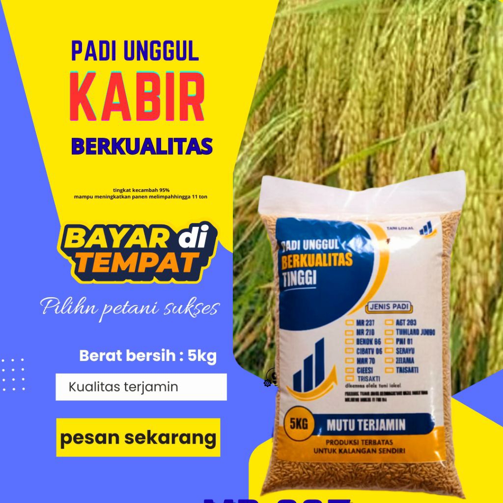 BENIH PADI UNGGUL KABIR KEMASAN 5KG