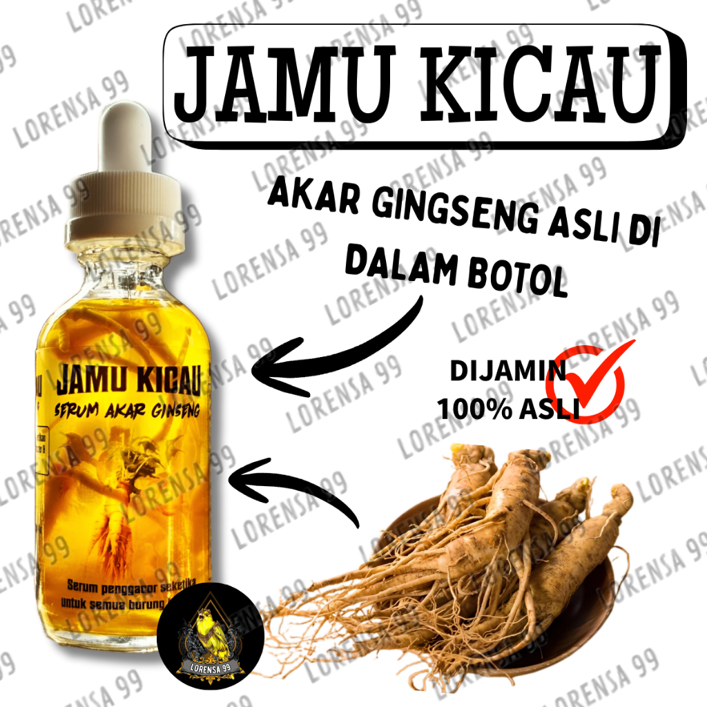 SEDIA JAMU KICAU 1BOTOL SERUM AKAR GINGSENG ASLI BMW UNTUK BURUNG MURAI KACER CUCAK IJO PLECI KENARI