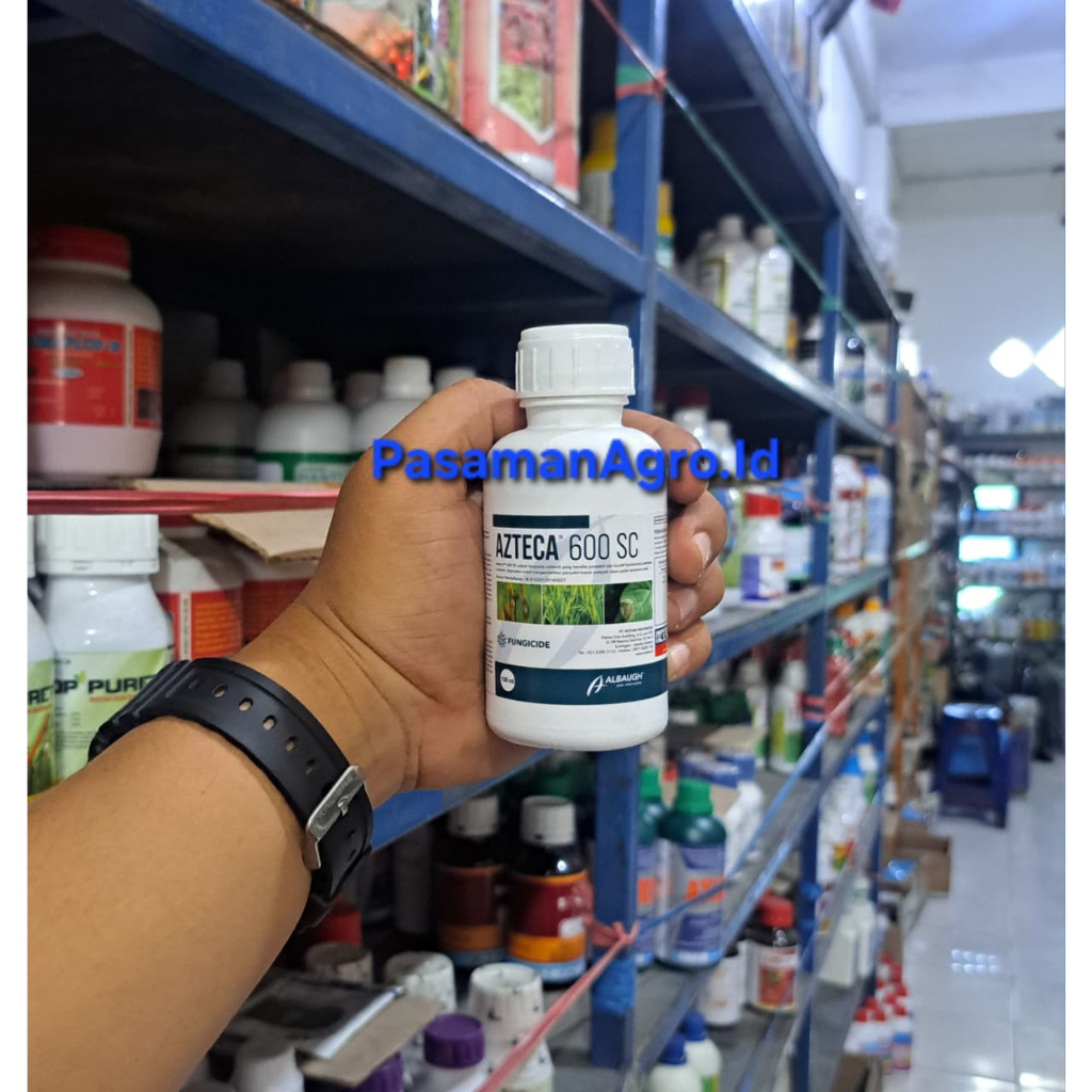 FUNGSIDA AZTECA 600 SC - 100 ML