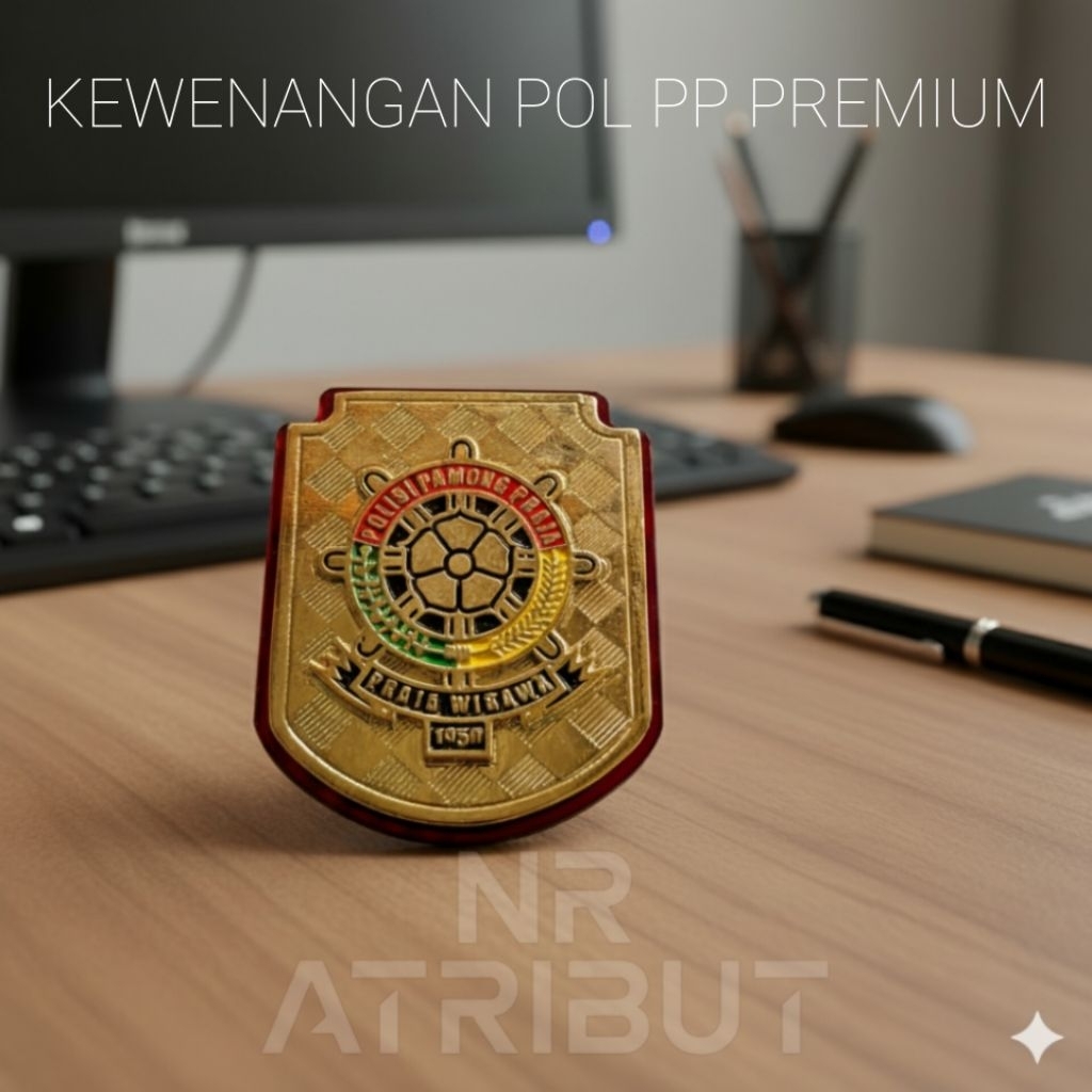 KEWENANGAN POL PP /kewenangan satpol pp