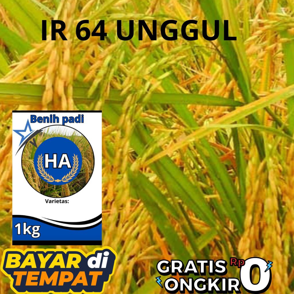 bibit padi UNGGUL IR 64 1KG