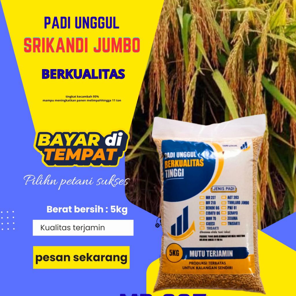 BENIH PADI SRIKANDI JUMBO KEMASAN 5KG