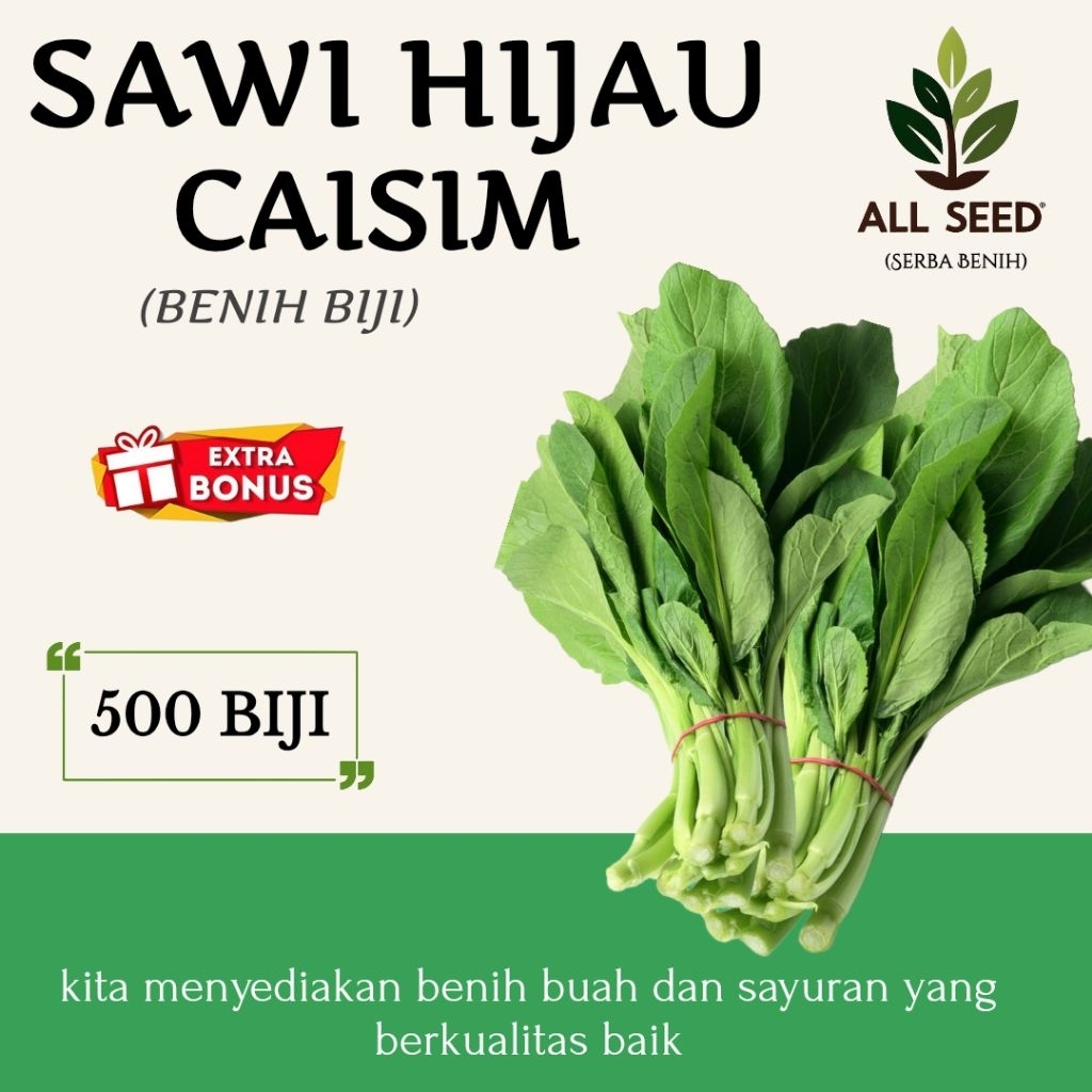 ( 500 biji ) Benih sawi hijau caisim | bibit biji caisim | sawi hijau | sawi caisim