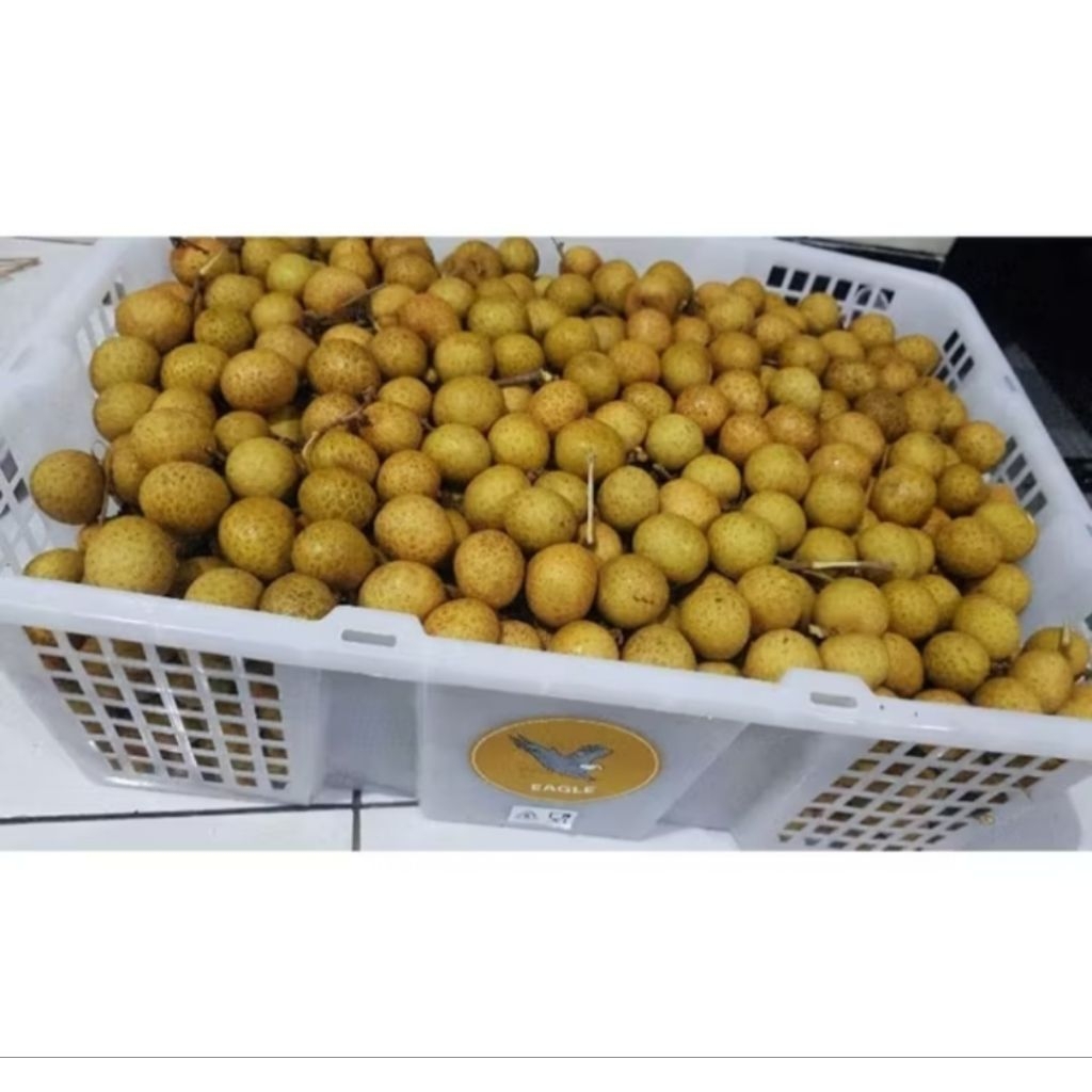 Kelengkeng bangkok 1 kg / Kelengkeng bangkok grade A