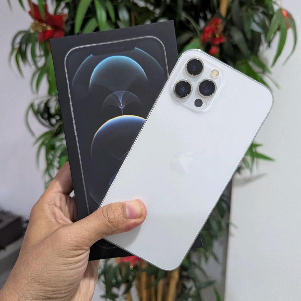 iBox 12 Pro Max 256 GB Second / Bekas Garansi Resmi Indonesia