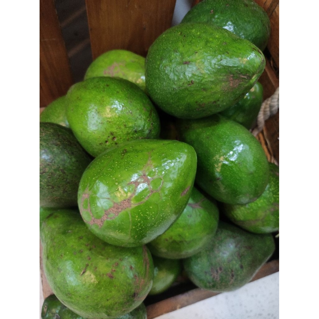 Alpukat Mentega Lampung Timur -+1KG