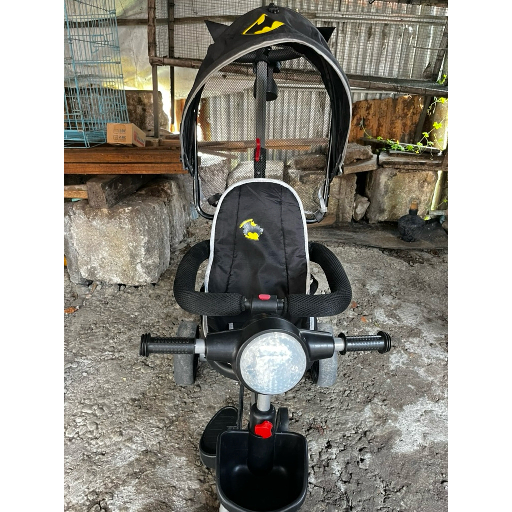 sepeda roda 3 exotic bekas