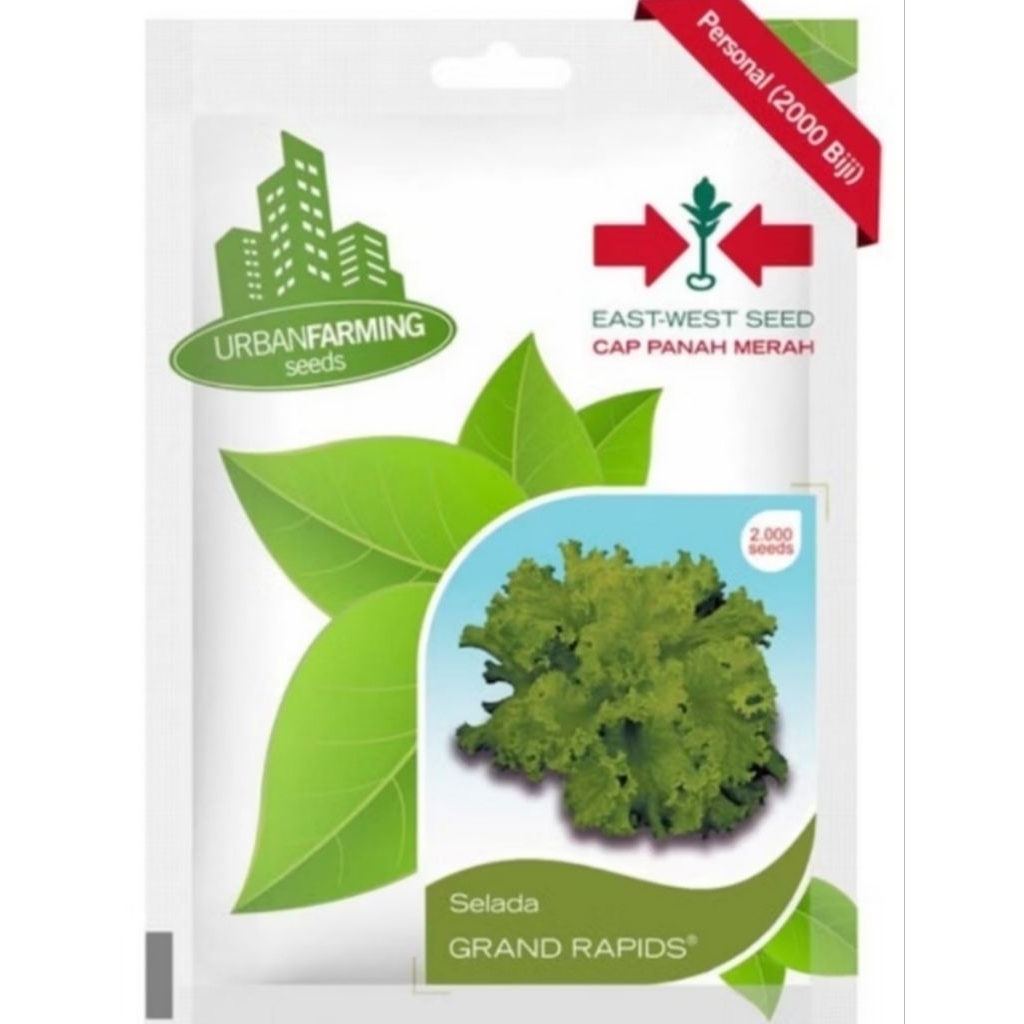 benih selada hijau cap panah merah