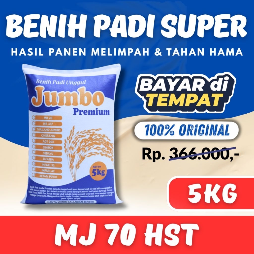 MJ 70 hst bibit padi umur 70 hst / 70 hari kemasan 5kg