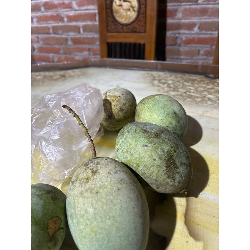 mangga muda manalagi