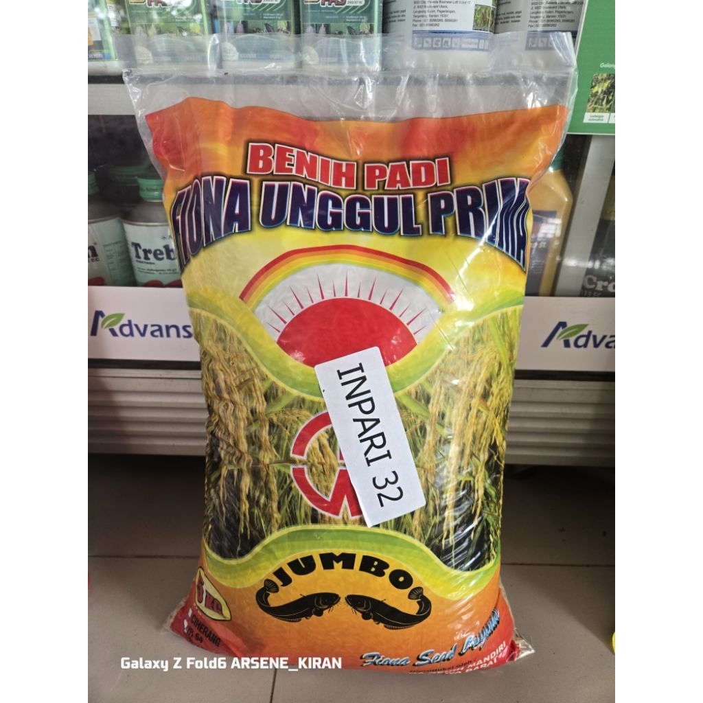Benih Padi Inpari 32 Jumbo Lele 5kg