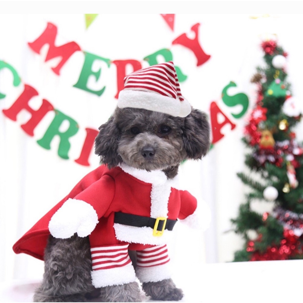 JOEYSPAW - Santaa 3D Costume // Baju Anjing Kucing | Baju Natal Anjing Kucing | Kostum Natal Anjing 