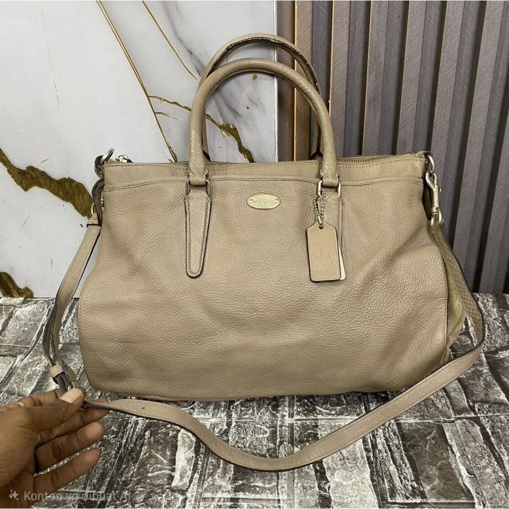 CO Morgan Satchel Vintage Bag Y2K
