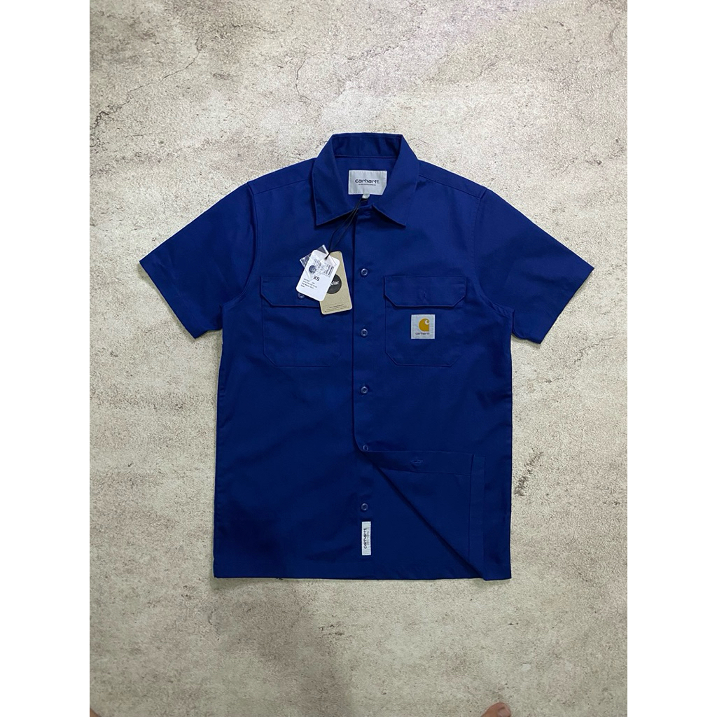 Carhartt S/S Master Shirt Elder BNWT