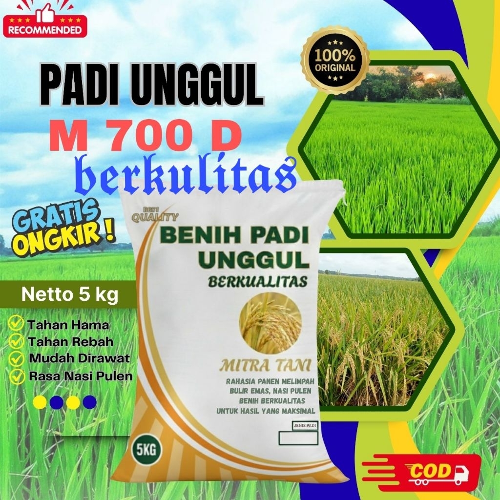 bibit padi M70 D kemasan 5kg