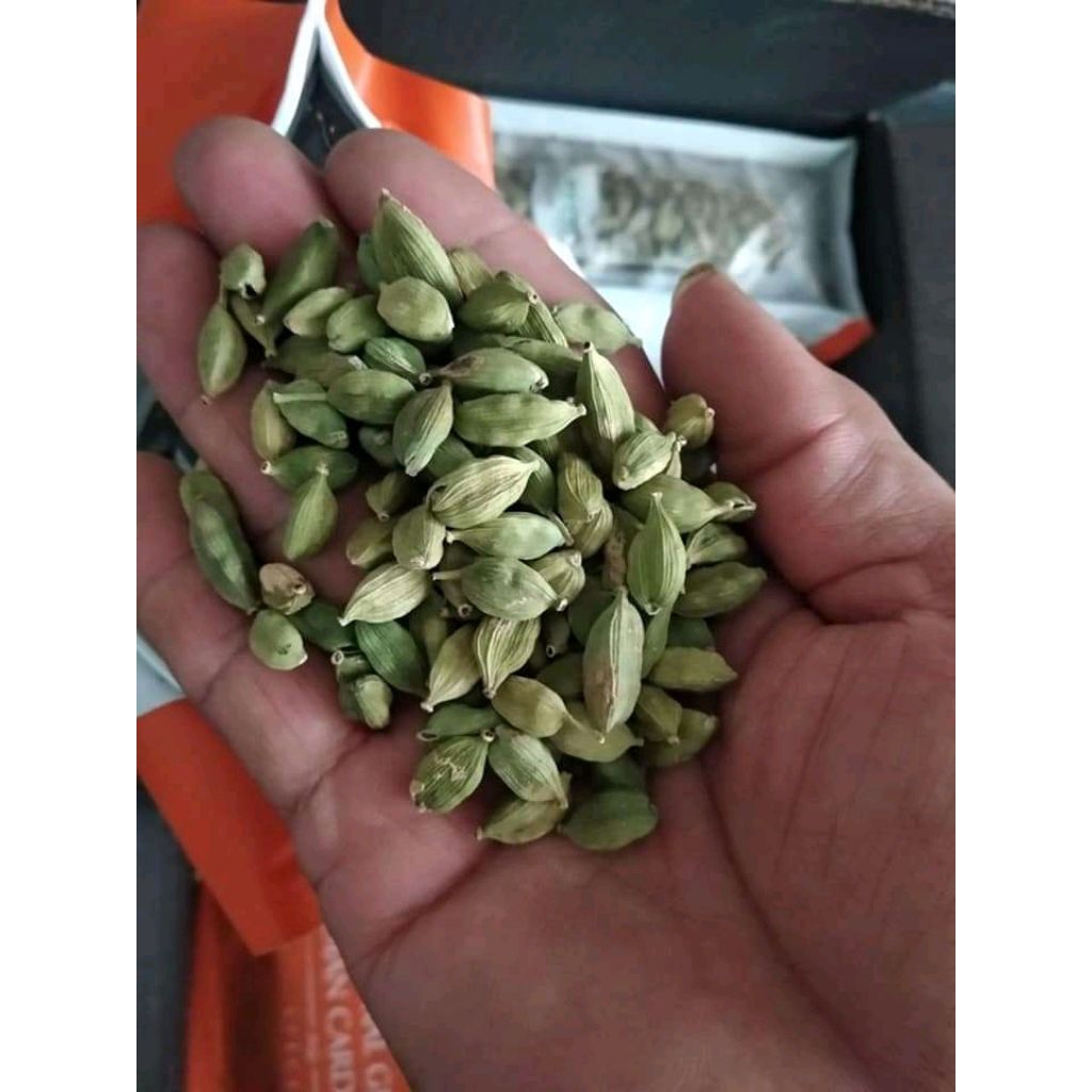 Kapulaga Hijau ijo india Berat 50gr murah kapol kapologo