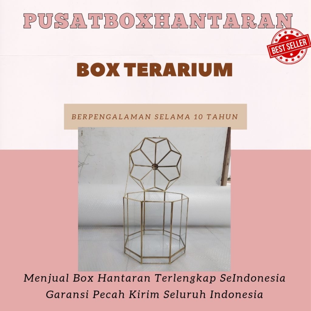 BOX HANTARAN TERARIUM | BOX HANTARAN KACA | BOX HANTARAN PERNIKHAN TERLARIS