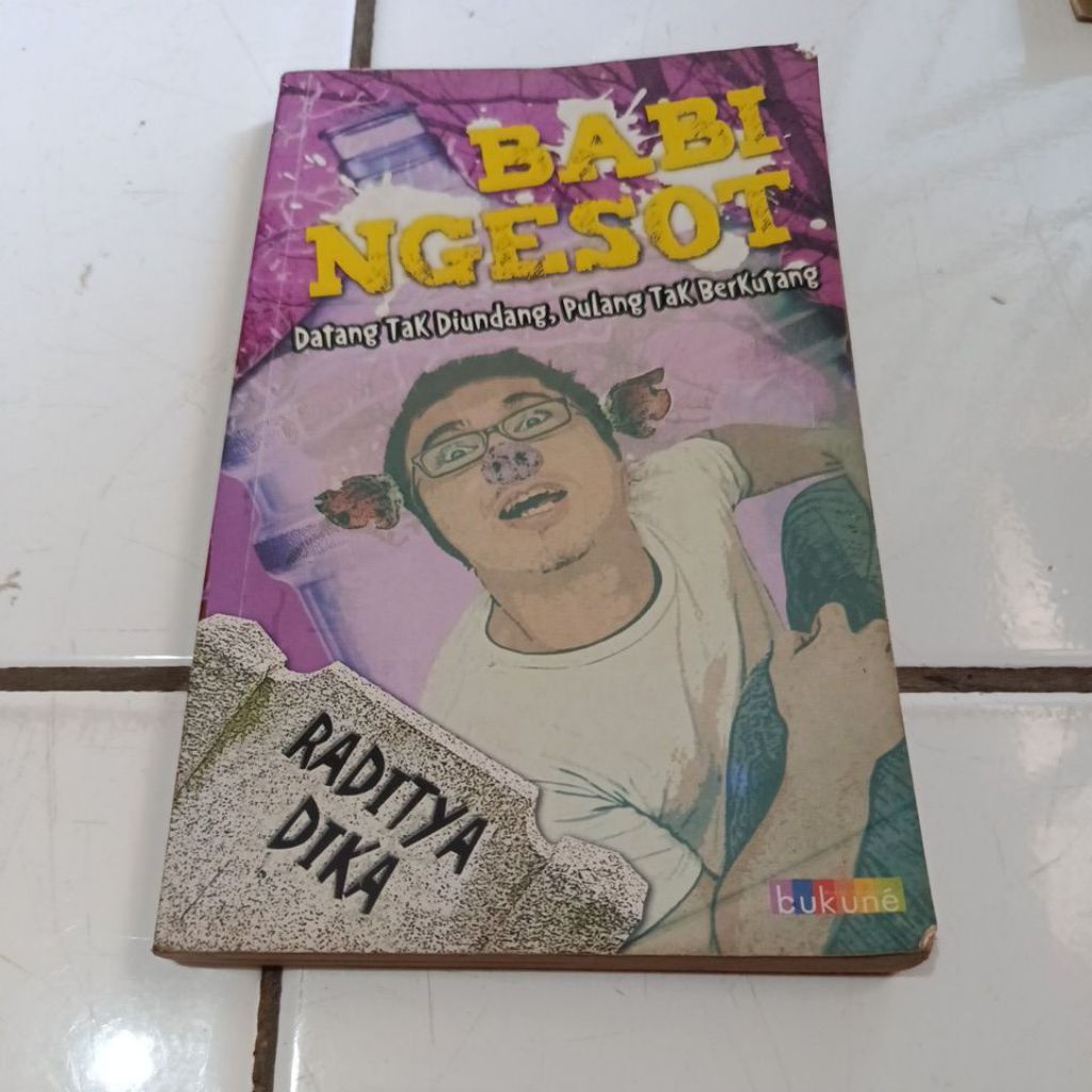 NOVEL BABI NGESOT RADITYA DIKA