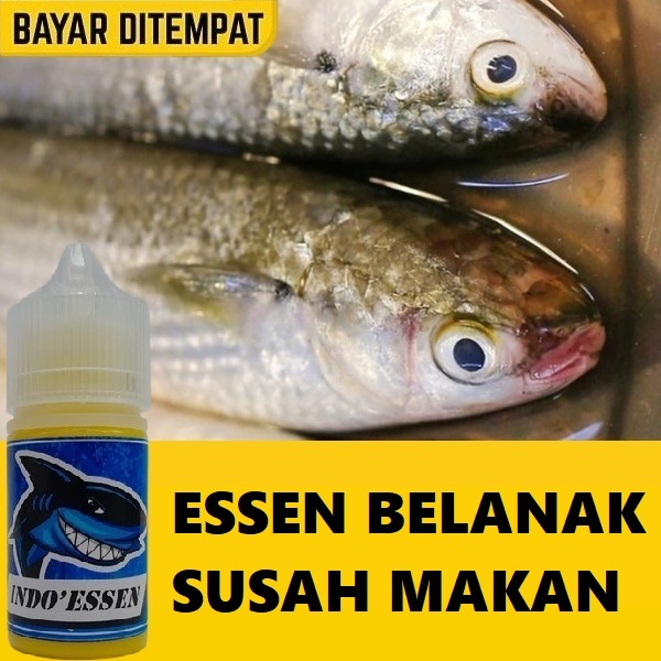 ESSEN IKAN BELANAK SUSAH MAKAN PALING AMPUH ANTI ZONK & GACOR ISI 30ML