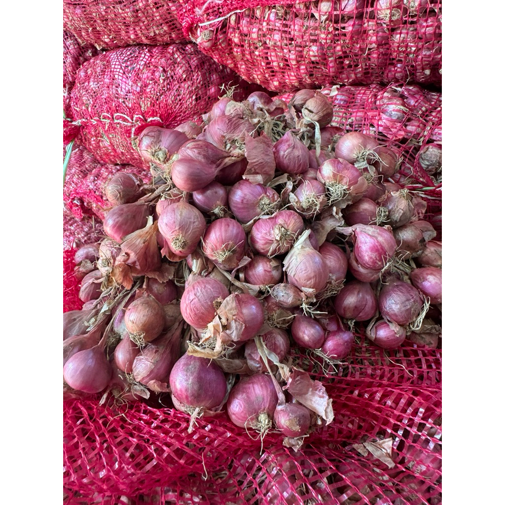 bawang merah 1kg bawang kering