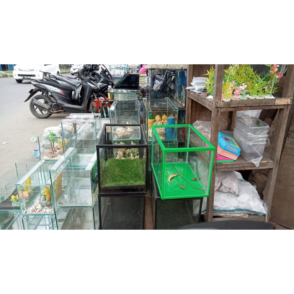 akuarium kecil