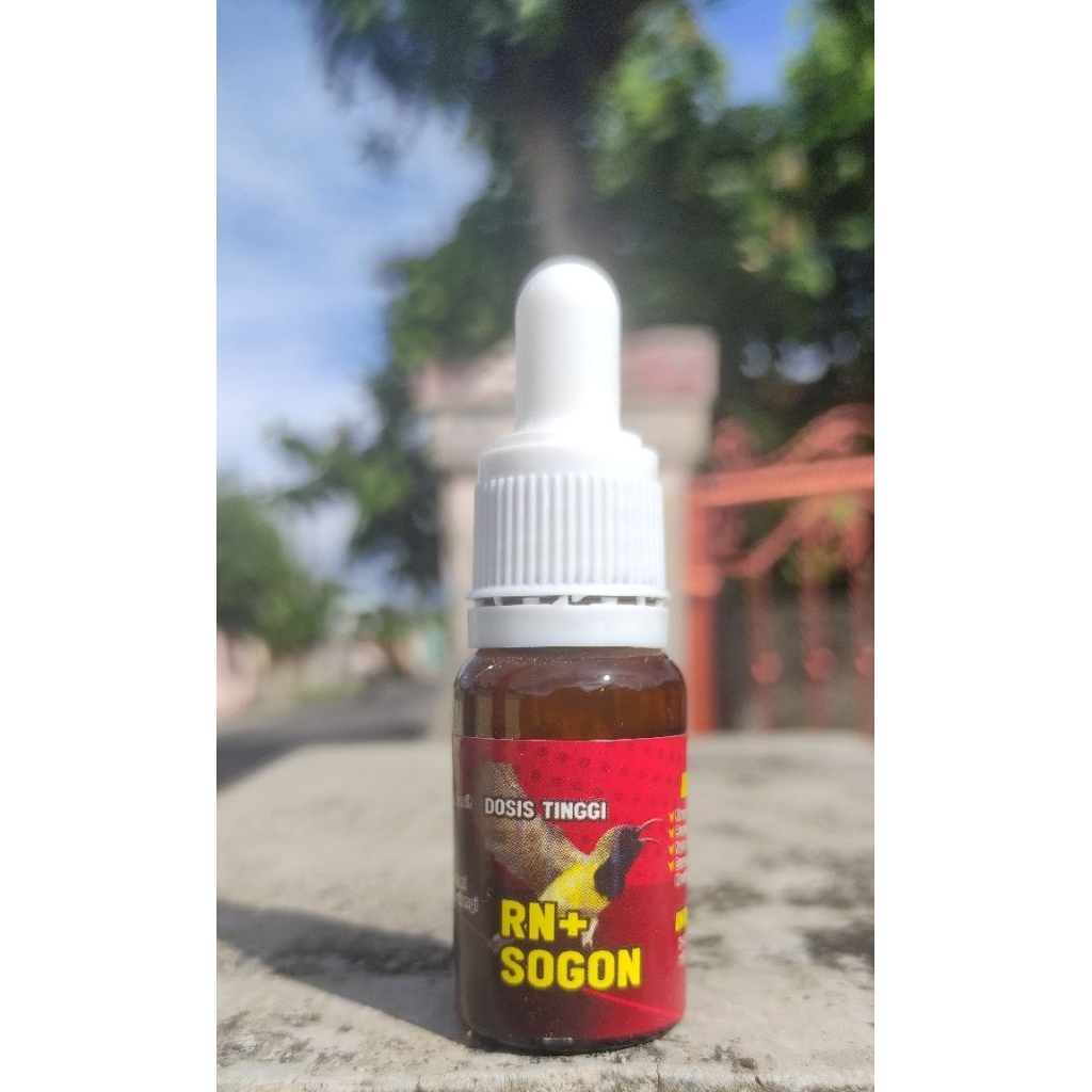 penggacor sogon instan sogon bahan dan macetan jadi gacor nembak